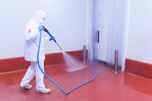 Best Winterizing Services  in Jones Creek, TX